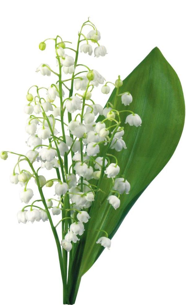 часы через интернет дешево от1000, Bosch watch gw