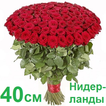 Опт СПб: 101 роза 40 см (Голландия)