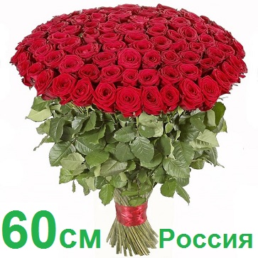Опт СПб: 101 роза 60 см (РФ)