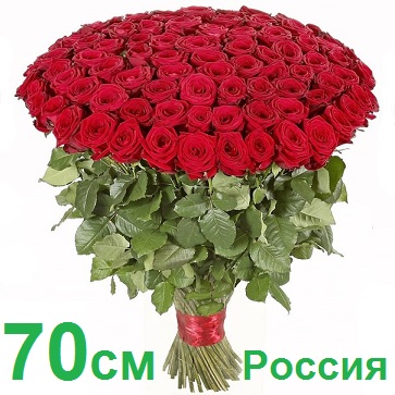 Опт СПб: 101 роза 70 см (РФ)