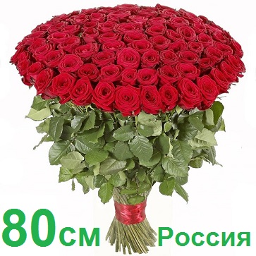 Опт СПб: 101 роза 80 см (РФ)