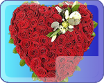 Сердце из 101 розы элит