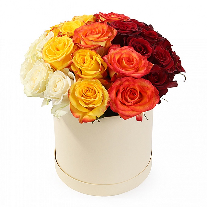 25 разноцветных роз в шляпной коробке