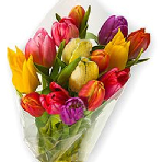 Букет разноцветных  тюльпанов