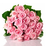 19 нежно-розовых роз